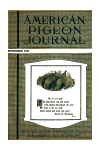 Cover. click for larger image